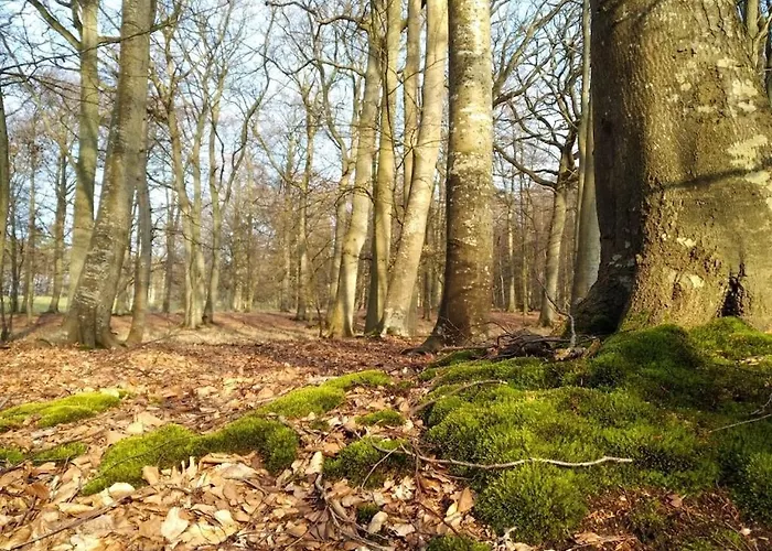 Wellness 18 Apartment